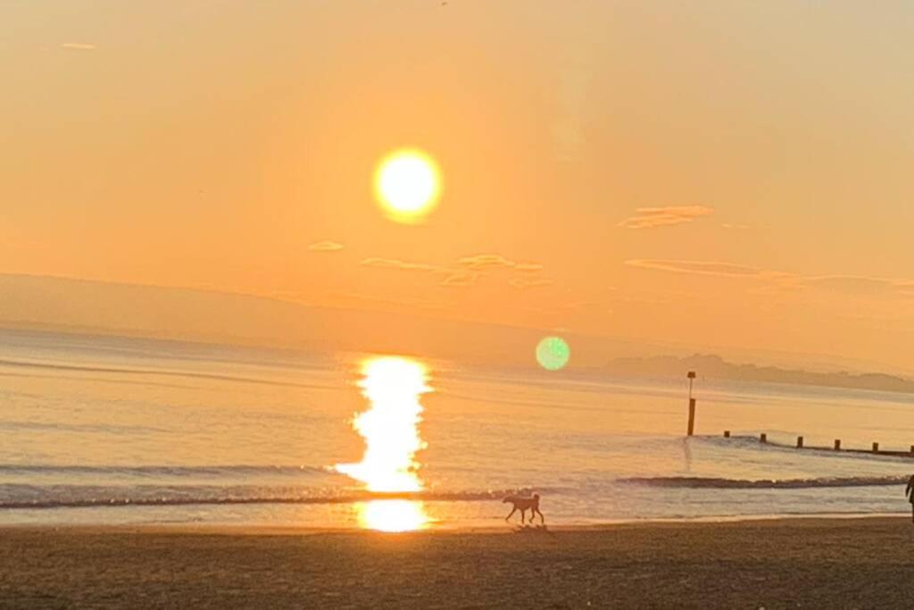 Bournemouth Nr Town Beach Train Coach Shops Lovely Entire Apartment Allows Quiet Good Dogs Εξωτερικό φωτογραφία