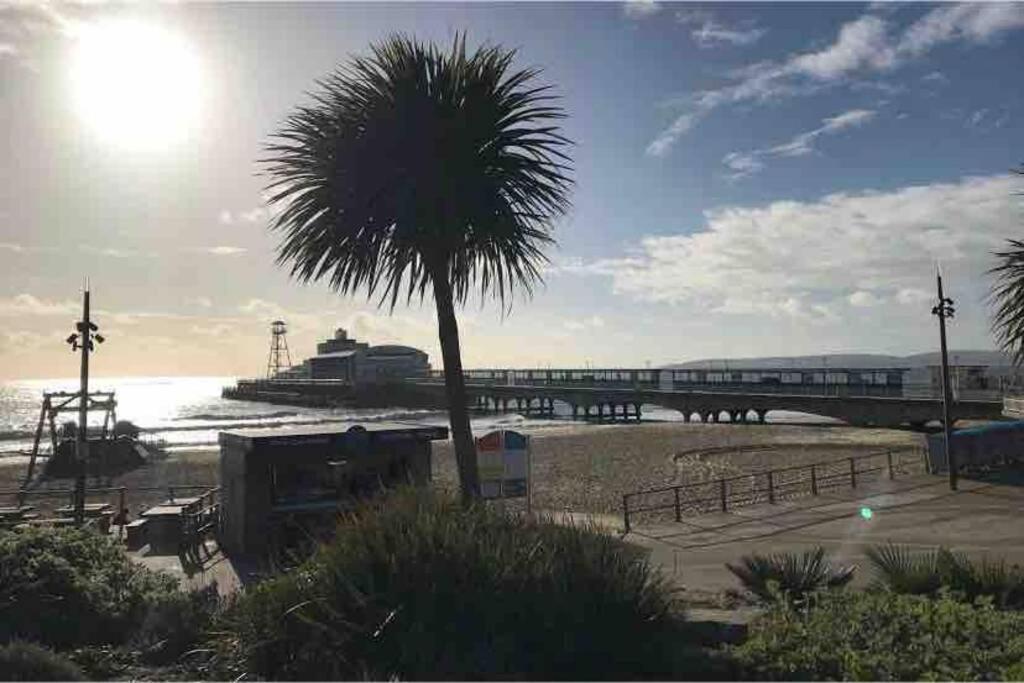 Bournemouth Nr Town Beach Train Coach Shops Lovely Entire Apartment Allows Quiet Good Dogs Εξωτερικό φωτογραφία